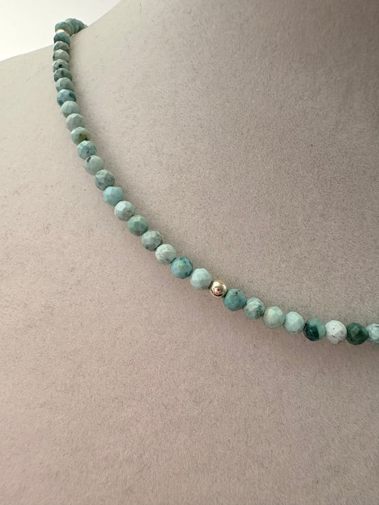 Dainty Turquoise Necklace